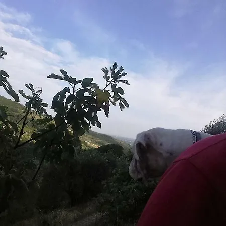 Tenuta Le Luci Az Agr * Illasi